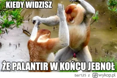 bar125 - #gielda #pltr