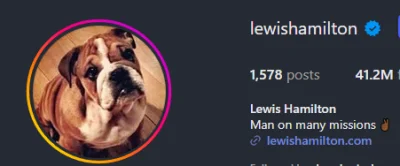 QRQ - #f1 zamienił się w psa