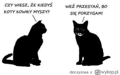 dziczyznaa