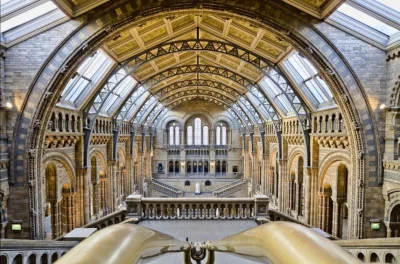 Loskamilos1 - Wnętrze Muzeum Historii Naturalnej w Londynie, budynek powstał w 1880, ...