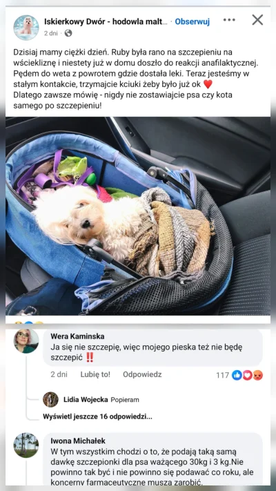 MaNiEk1 - #psiarzecontent #psiarze