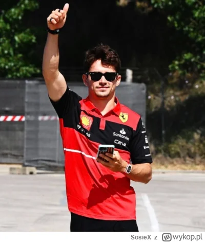 SosieX - Zalana VERVA
#f1