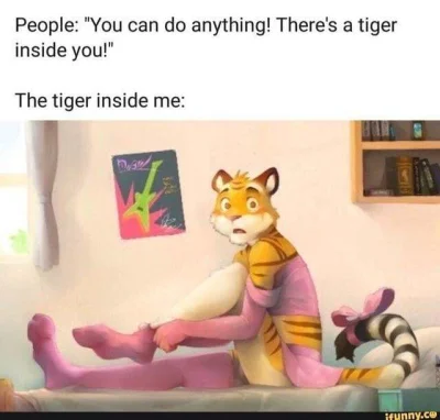 Neocaridina - #furry