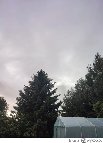 jalop - @Dorciqch szerszeń pewnie był spragniony, upał go chciał wykończyć. 

To ten,...