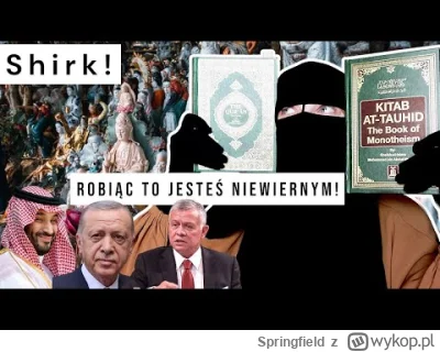 Springfield - #p0lka #bekazpodludzi #przegiolemco