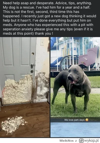 WielkiNos - @Afrobiker chyba że: