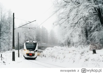 mrsopelek - Jaszczurki, jak mają w naturze, potrafią kamuflować się w otoczeniu w któ...