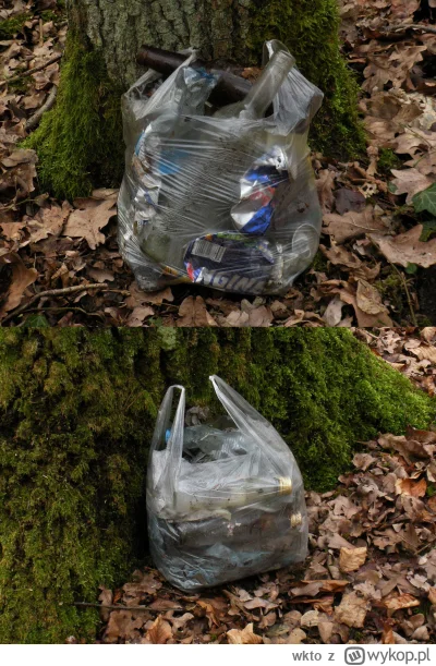 wkto - Pusto na #sprzatamylasy, więc na zachętę przedwczoraj zrobiłem zdjęcia ze sprz...