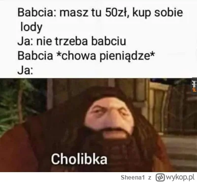 Sheena1 - #harrypotter