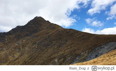 Rain_Dog - Szczyt Ben Lomond