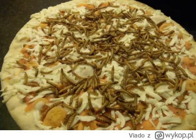 Viado - Pizza ratująca planetę dla fajnopolaków

#jagodno #wroclaw #bekazlewactwa #ko...