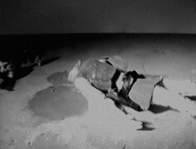 wfyokyga - Wuhan 2019