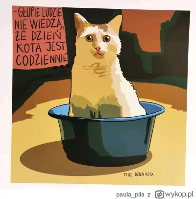 paula_pila - #koty #kotki #meme #humorobrazkowy
