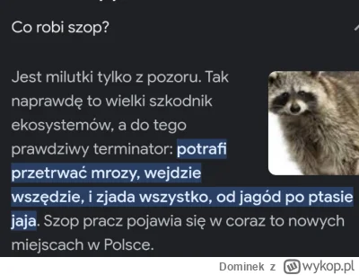 Dominek - @LizeCiMatke 

o żesz, jest milutki tylko z pozoru, a tak naprawdę to Termi...