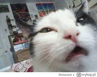 Returned - Hej @smuteczek2000s o czym będzie ta twoja książka 50 Twarzy Smuteczka?