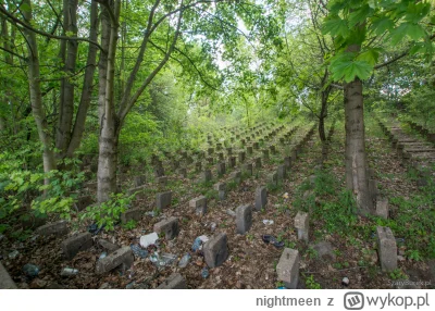 nightmeen - Będąc w Poznaniu i szukając ciekawych atrakcji turystycznych, pomyślałem,...