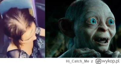 HiCatchMe - XD #danielmagical