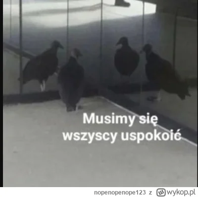 nopenopenope123 - #kryptowaluty