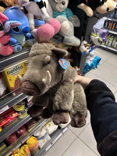 paniSylwiaz_1z10 - pluszaki z #robertlewandowski można kupić 
#rl9 #dzik #mecz #pilka...