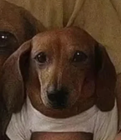 szatanEK666 - @cheeseandonion: