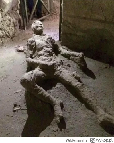 WildAnimal - Gipsowy odlew przedstawiający mężczyznę utrwalonego w niezwykłej pozie w...