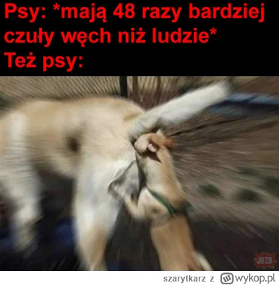 szarytkarz - #heheszki #humorobrazkowy