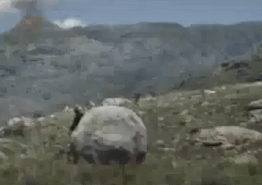 wfyokyga - Ale j---a hahaxd