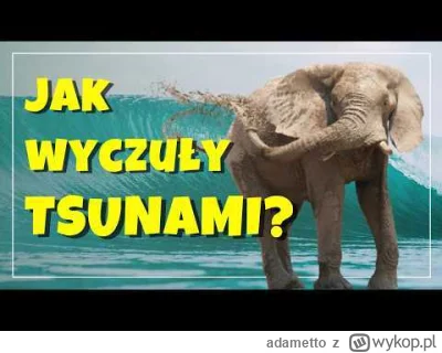 adametto - Wczoraj była Prima Aprilis, żartów było jak grzybów po deszczowym, ciepłym...