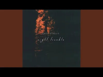 raeurel - Petit Biscuit · Night Trouble
#3am #radioraeurel #muzyka