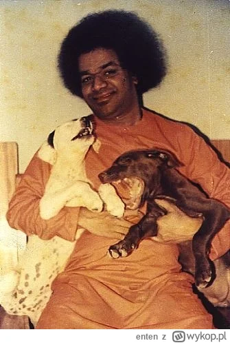 enten - A Wy macie jakieś psiecko?

#bernatowicz #codziennysaibaba