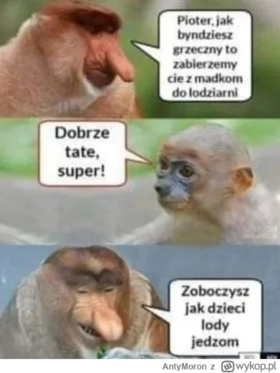 AntyMoron - #grazynacore #humorobrazkowy #heheszki