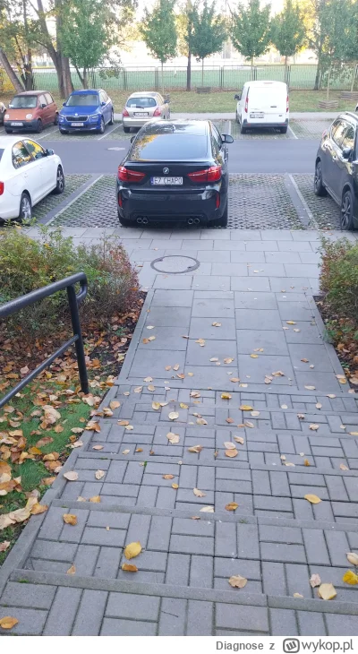 Diagnose - Problemy z parkowaniem...Auto musi mieć uszkodzone kamery parkowania, poni...