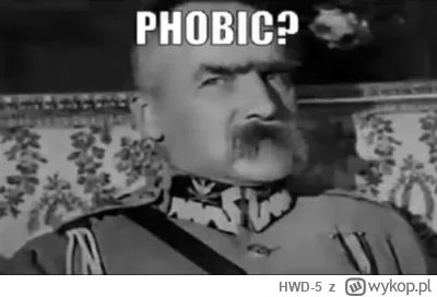 HWD-5 - @Pokojowa do ruskich to pogarda a nie fobia.