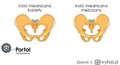 Z.....t - @blablalbla: @ananasowy 
A może chodzi też o anatomię, nie tylko o ideologi...