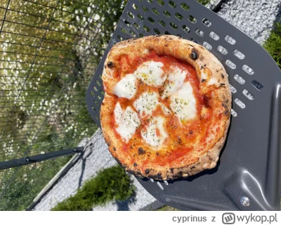 cyprinus - Ale siadła pizzunia. #pizza #jedzenie