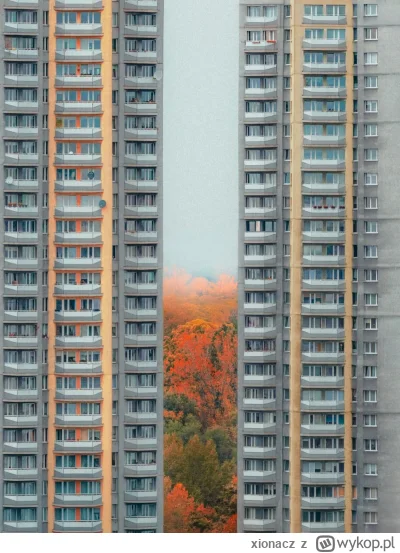 xionacz - #katowice #jesien #fotografia