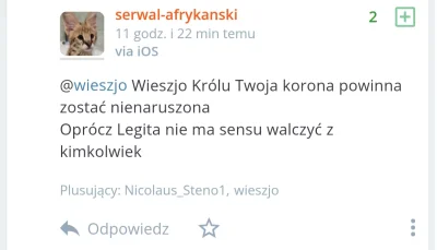 guwno79281 - #famemma To jest multikonto wieszjo czy jakiś kukold gejowski?