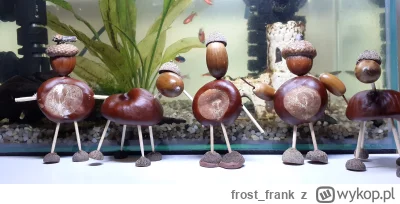 frostfrank - @frostfrank: