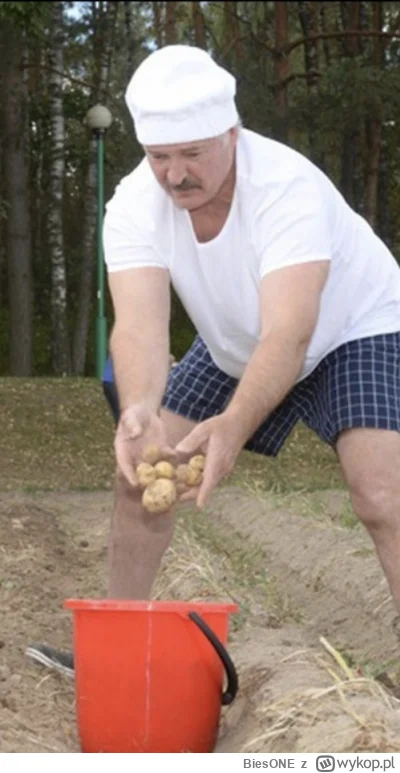 BiesONE - @hot_tomek Król PGRu ( ͡° ͜ʖ ͡°)