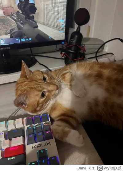 J.....k - przeszkadza mi w graniu #pokazkota
