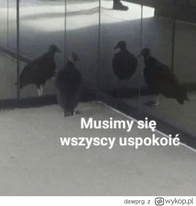 dawprg - #danielmagical pewien użytkownik teraz