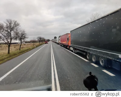 robert5502 - Na przejście do Baćki w Kukurykach kolejka zaczyna się od 620 km.  Trzym...