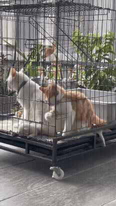 jestemtakizmeczony - @jestemtakizmeczony: