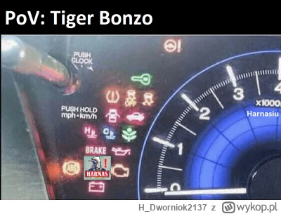 H_Dworniok2137 - #bonzo check bonzo bęc