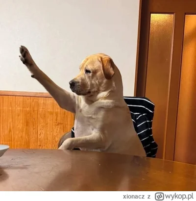 xionacz - #elonmusk #usa  #heheszki