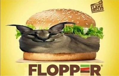 frugASS - #floppa