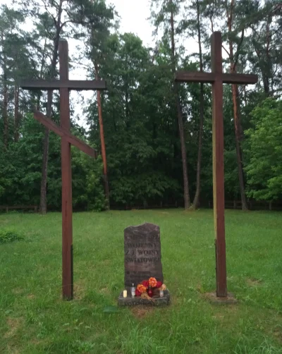 M4rcinS - Cmentarz z I wojny światowej w Plocicznie k. Suwałk 
.l

#podlaskie #cmenta...