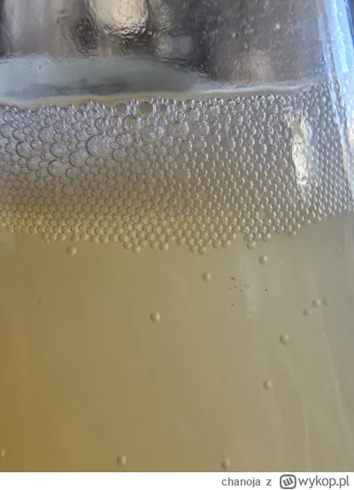 chanoja - #gotujzwykopem cydr własnej roboty.