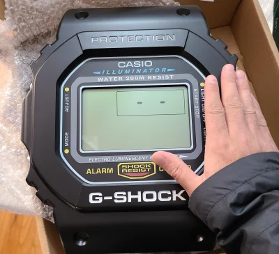 cheeseandonion - #casio