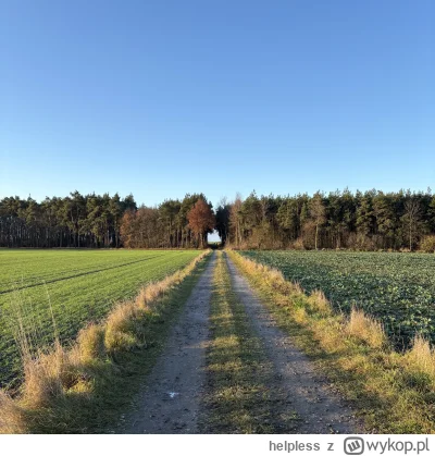 helpless - Poranny #spierdotrip w mojej wiosce.